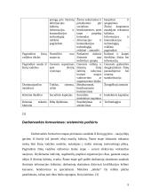 Žinių vadyba ir inovacijos, mokymasis 9 puslapis