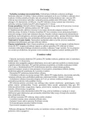 ŽIV ir AIDS 4 puslapis