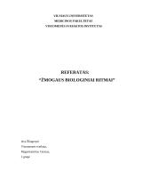 Žmogaus biologiniai ritmai