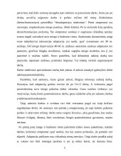 Žmogaus biologiniai ritmai 6 puslapis