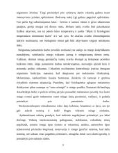 Žmogaus biologiniai ritmai 8 puslapis