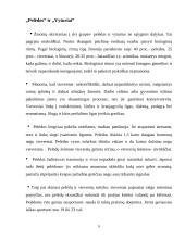 Žmogaus biologiniai ritmai 9 puslapis