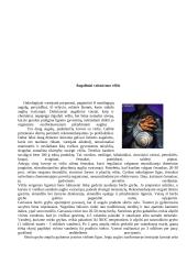 Žmogaus organizmas. Gydymas vaistažolėmis 15 puslapis