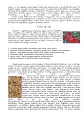 Žmogaus organizmas. Gydymas vaistažolėmis 8 puslapis