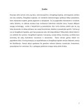 Žmogiškasis kapitalas 2 puslapis