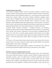 Žmogiškasis kapitalas 3 puslapis