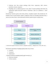 Žmogiškasis kapitalas 6 puslapis