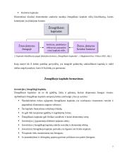 Žmogiškasis kapitalas 7 puslapis