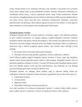 Žmogiškasis kapitalas 10 puslapis