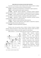 Žmogiškasis kapitalas ir jo ekonominė vertė 5 puslapis