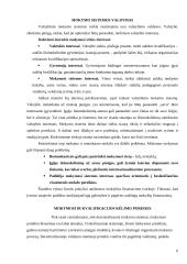 Žmogiškasis kapitalas ir jo ekonominė vertė 6 puslapis