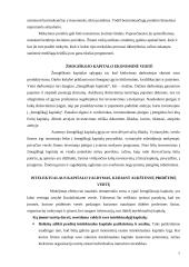 Žmogiškasis kapitalas ir jo ekonominė vertė 7 puslapis