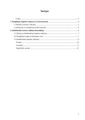 Žmogiškasis kapitalas ir jo vaidmuo šiuolaikinėje ekonomikoje 2 puslapis