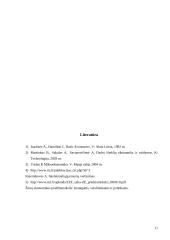 Žmogiškasis kapitalas ir jo vaidmuo šiuolaikinėje ekonomikoje 11 puslapis