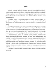 Žmogiškasis kapitalas ir jo vaidmuo šiuolaikinėje ekonomikoje 3 puslapis