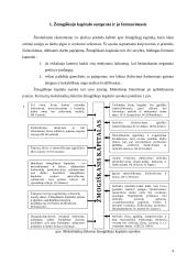 Žmogiškasis kapitalas ir jo vaidmuo šiuolaikinėje ekonomikoje 4 puslapis