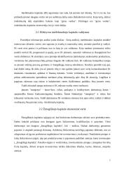 Žmogiškasis kapitalas ir jo vaidmuo šiuolaikinėje ekonomikoje 7 puslapis