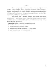 Žmogiškųjų išteklių teorija: Douglas McGregor 3 puslapis