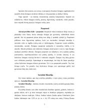 Žmogiškumo samprata. Humanizmas 3 puslapis