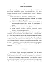 Žmonių išteklių valdymo proceso etapai organizacijoje 5 puslapis