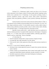 Žmonių santykių valdymo mokyklų pagrindiniai principai ir jų įgyvendinimas 4 puslapis