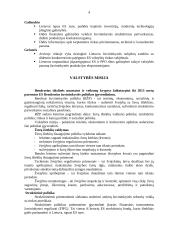 Žuvininkystės, kaip verslo, aplinka ir strateginės kryptys 4 puslapis