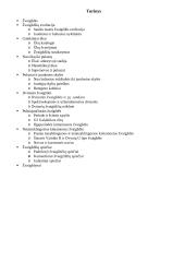 Žvaigždės ir žvaigždynai 2 puslapis