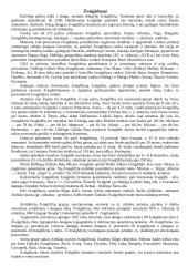 Žvaigždės ir žvaigždynai 12 puslapis