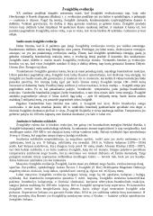 Žvaigždės ir žvaigždynai 4 puslapis