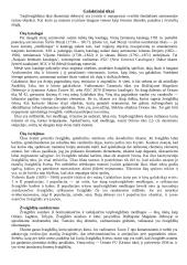 Žvaigždės ir žvaigždynai 5 puslapis