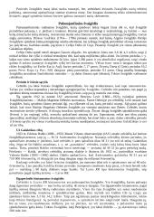 Žvaigždės ir žvaigždynai 9 puslapis