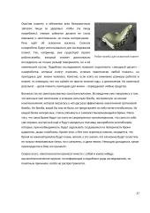 Нанотехнологии - Nanotechnologijos 17 puslapis