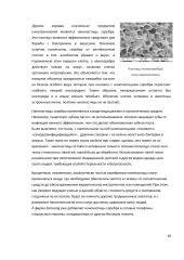 Нанотехнологии - Nanotechnologijos 10 puslapis