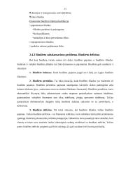 Lietuvos Respublikos (LR) biudžeto sistemos reforma 11 puslapis