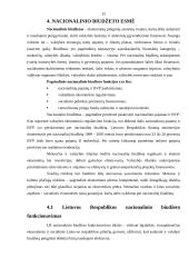 Lietuvos Respublikos (LR) biudžeto sistemos reforma 15 puslapis