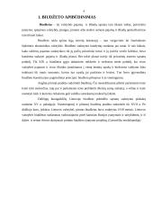 Lietuvos Respublikos (LR) biudžeto sistemos reforma 4 puslapis