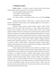 Lietuvos Respublikos (LR) biudžeto sistemos reforma 7 puslapis