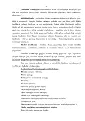 Lietuvos Respublikos (LR) biudžeto sistemos reforma 10 puslapis