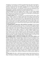 Darbo teisė - teorija 3 puslapis