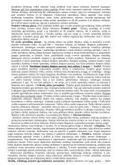 Elektroninis verslas ir komercija 11 puslapis