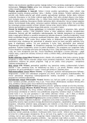 Elektroninis verslas ir komercija 13 puslapis