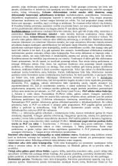 Elektroninis verslas ir komercija 15 puslapis