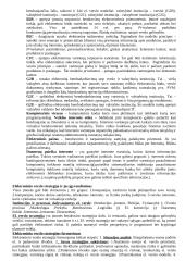 Elektroninis verslas ir komercija 3 puslapis