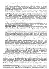 Elektroninis verslas ir komercija 7 puslapis