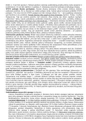 Elektroninis verslas ir komercija 8 puslapis