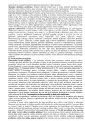 Elektroninis verslas ir komercija 9 puslapis