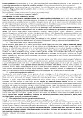 Detalūs filosofijos pradmenys 7 puslapis