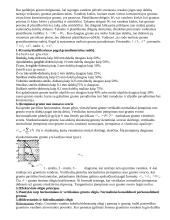 Gruntas, grunto charakteristika 3 puslapis