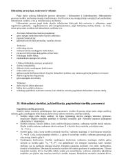 Hidraulika ir skysčių pusiausvyra 19 puslapis