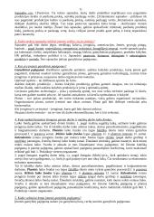 Įmonių organizavimas ir valdymas - teorija 11 puslapis